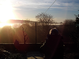 Photographing sunrise from back garden